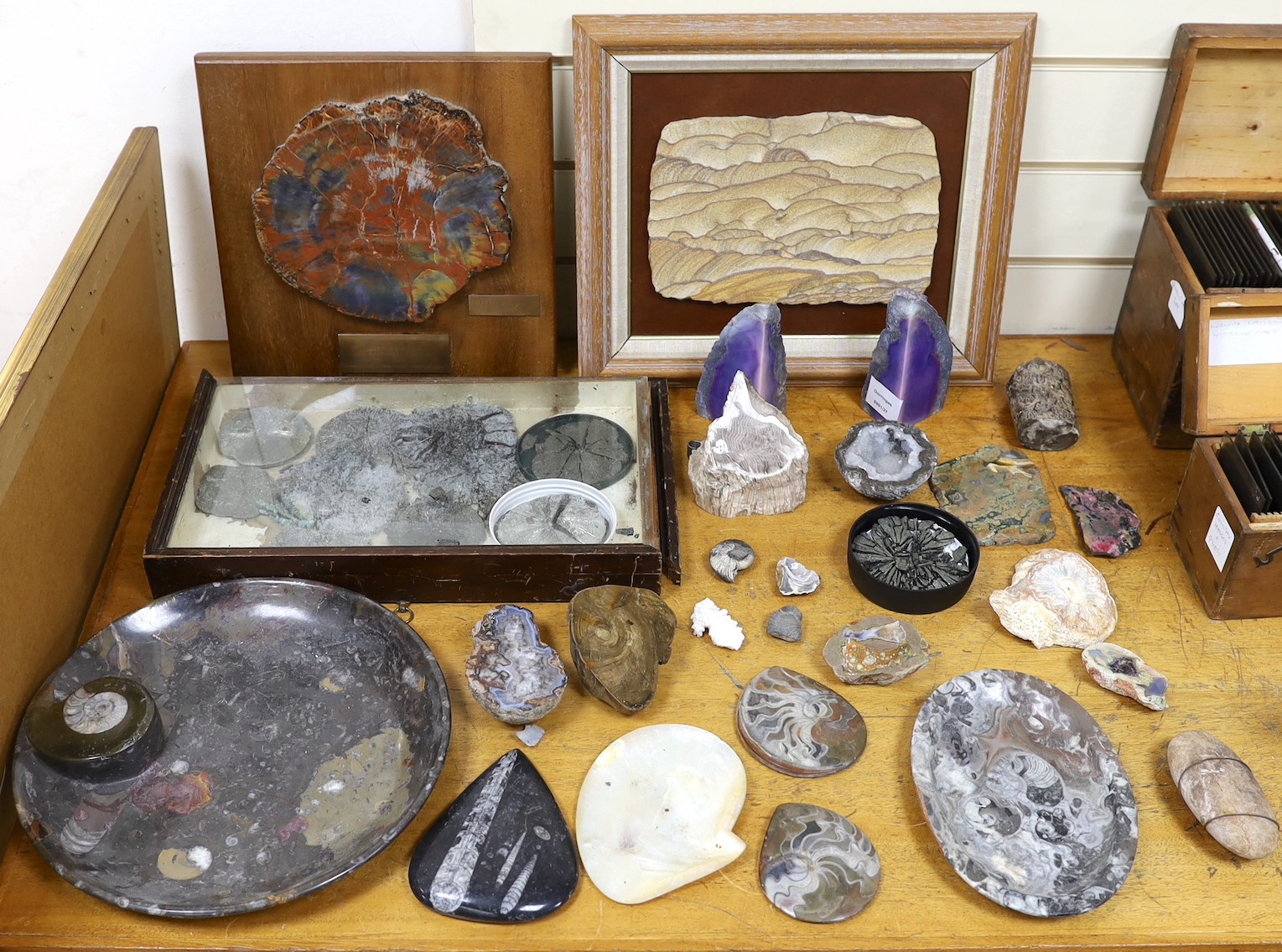 An interesting collection of fossils, polished marble, petrified wood etc.